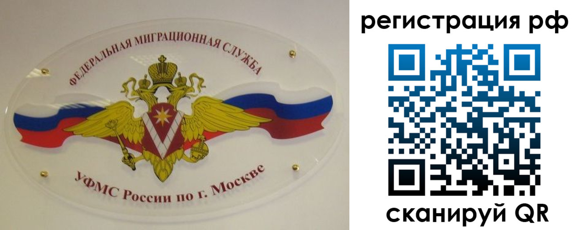 временная регистрация законно в Звенигово