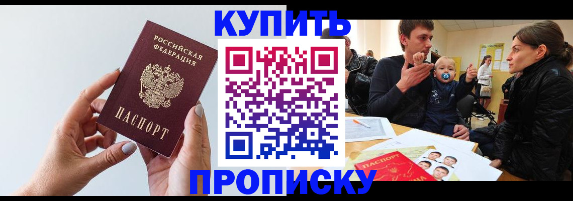 прописка 2025 в Звенигово