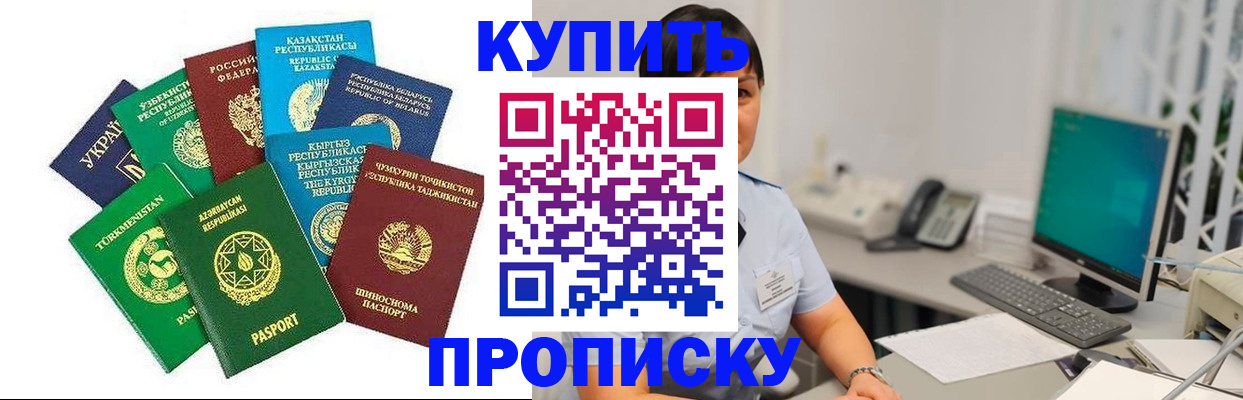 прописка в Звенигово